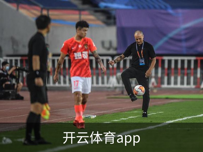 开云体育app简介